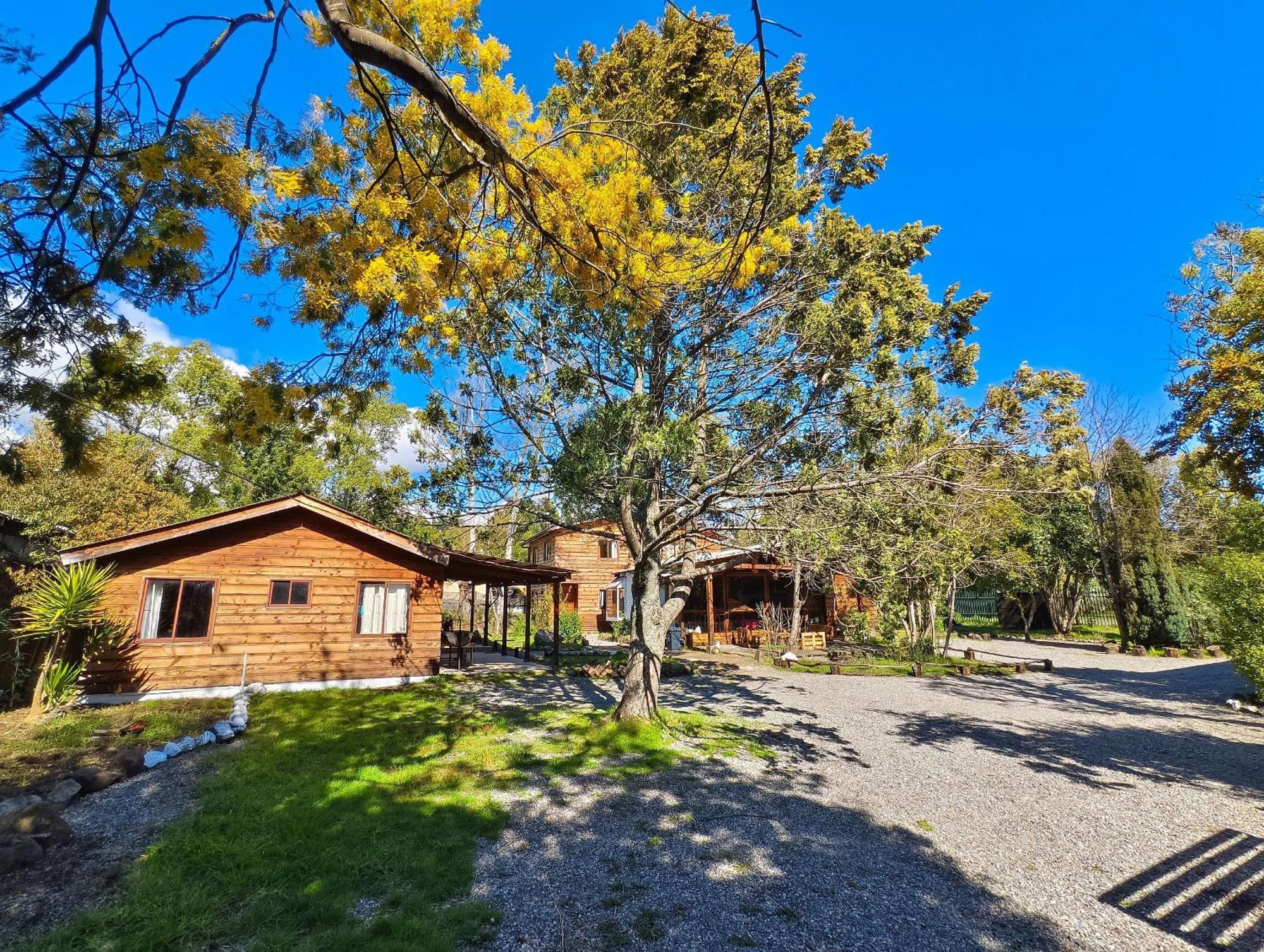 Habitacion N°5 | Hostal La Casona Pucon Hostel Exterior photo